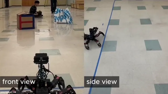 Versatile Locomotion Skills for Hexapod Robots thumbnail