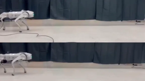 Online Embodiment Adaptation for Quadrupedal Locomotion thumbnail